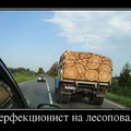 1000.jpg