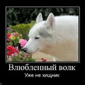 IMG 20171221 062026 904.jpg