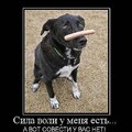 x_48163035.jpg