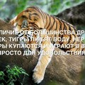 1YdvYcUBKHQ.jpg
