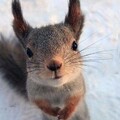 66f77dd6719ca96ff287209f67ee0f53.jpg