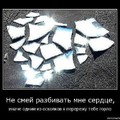 x_0e4580a5.jpg
