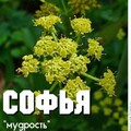 8dbe564595981a4bbd981a3075c61daa.jpg