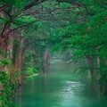 21bbd16a9542f046e80eff87d1cca6bb.jpg