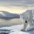 frozen-1662447768017-8.jpg
