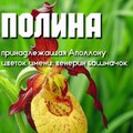 5221de5cbfc820495166231646156547.jpg