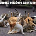 8f68fb31d21c778b36983a03033c9f69.jpg