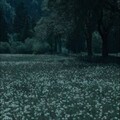 81b6c26e932f6ef98037c530b9d0c7f0.jpg