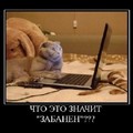 20180415 174435.jpg