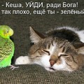 0145.jpg