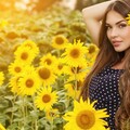 girl-field-sunflowers-4k-mz-3840x2160.jpg