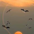 9bcbbafedaa12edef96808cfc7cd2d9b.jpg