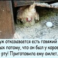 IMG 20220126 112308.jpg