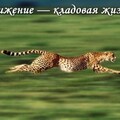 53DF6E5D-5BC8-4A80-AF1E-C7E5FDF3720A.jpg