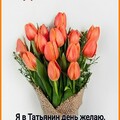a0ac8b270ff04ecb876358adf8874dd4.jpg