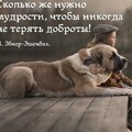 Слова.jpg