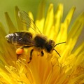 Wallpapers Mix 684 097.jpg