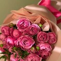 b53d58a347ca8199fc0ec621210919be.jpg