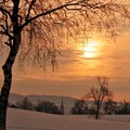 landscape-1661775282919-8586.jpg