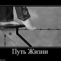 x_2a789f37.jpg