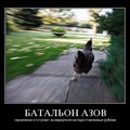 52664404 f 320 320 0.jpg