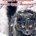 IMG-20230118-WA0011.jpg