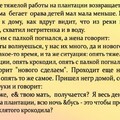 INFP7425.jpg