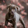 3235f9eef873f55861384d8d304a0a55.jpg