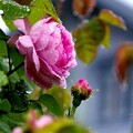 9d964122034173cad41b86812a310442.jpg