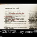 x_bb1bc661.jpg