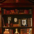 Learning opportunites nedbi3W7Yl1thxisso1 1280.jpg