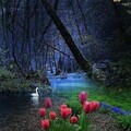 3dfe007e118ecde98162bd65723da510.jpg