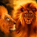 028 animals 128x128.jpg