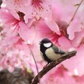 IMG-20170417-WA0003.jpg
