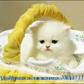 img 20140705 152054jpg nasimke ru.jpg