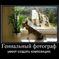 x_a7910750.jpg