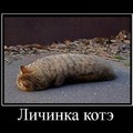 20180415 174641.jpg