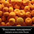 40644EC1-5402-42D5-8DE1-E3694F2B78A8.jpg
