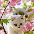 065c77ca4ecc87acc96fab67c56d353d.jpg