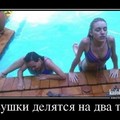 д.jpg