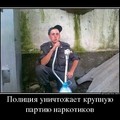 д.jpg