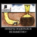 x_501a8483.jpg