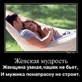 дм.jpg
