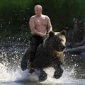 Путин-политика-медведь-путин-едет-на-медведе.jpg