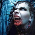 vampir.jpg