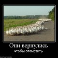 x_615bf887.jpg