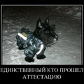 1335872214 demotivators 05.jpg