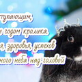 С наступающим годом кролика.jpg