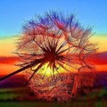 getImage-39.jpg