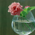 image (18).jpg
